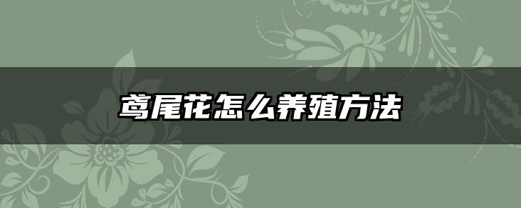 鸢尾花怎么养殖方法