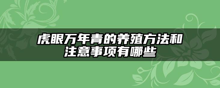 虎眼万年青的养殖方法和注意事项有哪些