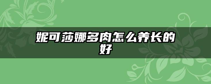 妮可莎娜多肉怎么养长的好