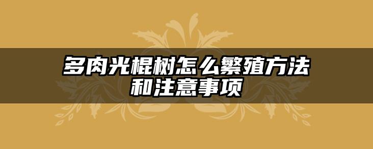 多肉光棍树怎么繁殖方法和注意事项
