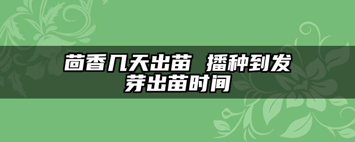 茴香几天出苗 播种到发芽出苗时间