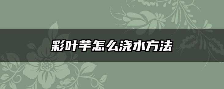 彩叶芋怎么浇水方法
