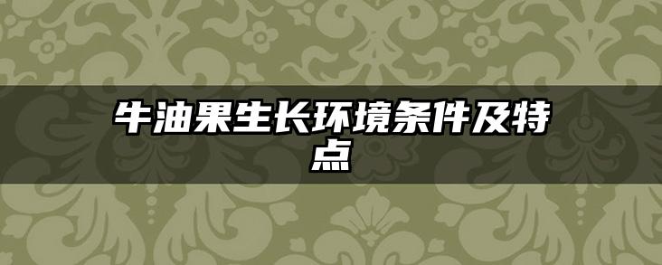 牛油果生长环境条件及特点