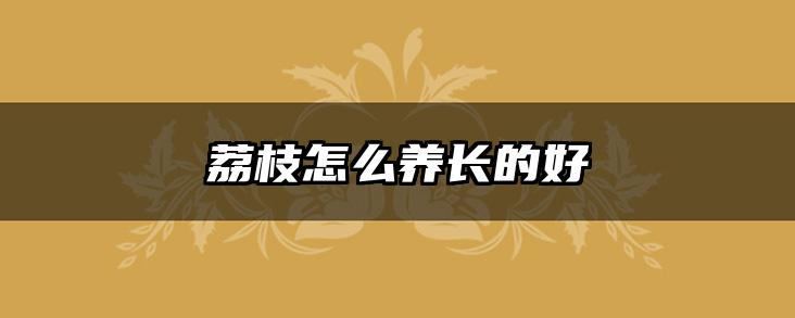 荔枝怎么养长的好