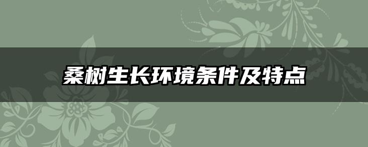 桑树生长环境条件及特点