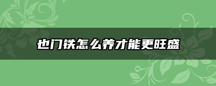 也门铁怎么养才能更旺盛
