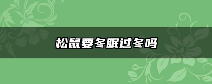 松鼠要冬眠过冬吗
