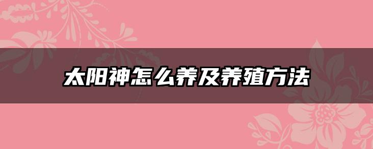 太阳神怎么养及养殖方法