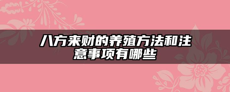八方来财的养殖方法和注意事项有哪些