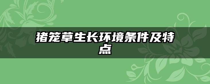 猪笼草生长环境条件及特点