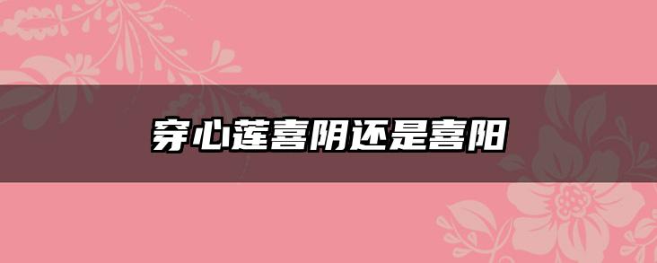 穿心莲喜阴还是喜阳
