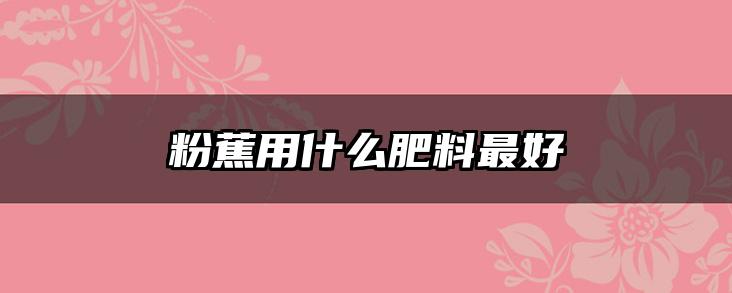 粉蕉用什么肥料最好