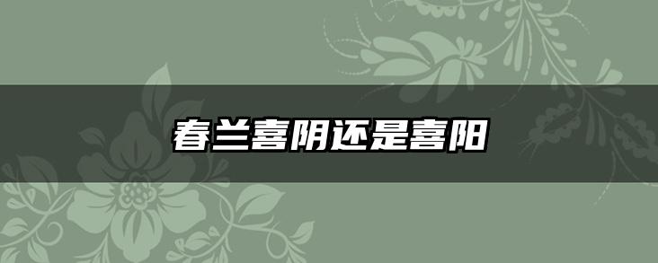 春兰喜阴还是喜阳