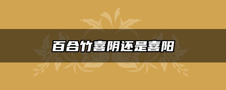 百合竹喜阴还是喜阳