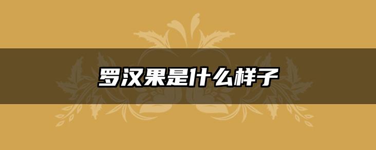 罗汉果是什么样子