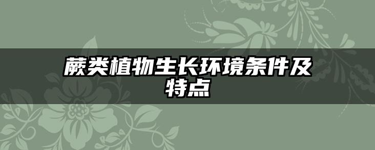 蕨类植物生长环境条件及特点