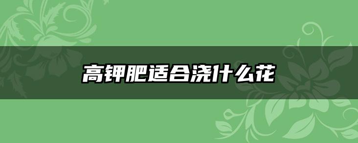 高钾肥适合浇什么花