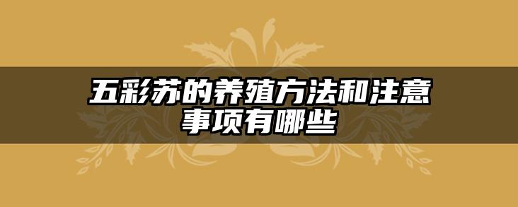 五彩苏的养殖方法和注意事项有哪些
