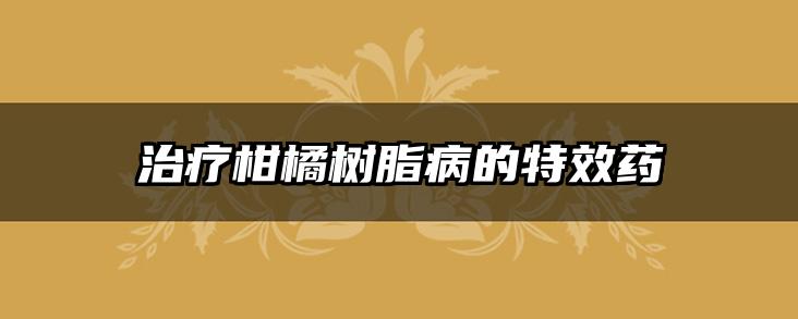 治疗柑橘树脂病的特效药