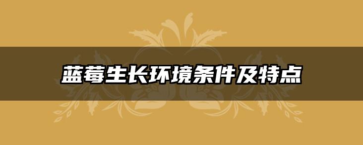 蓝莓生长环境条件及特点