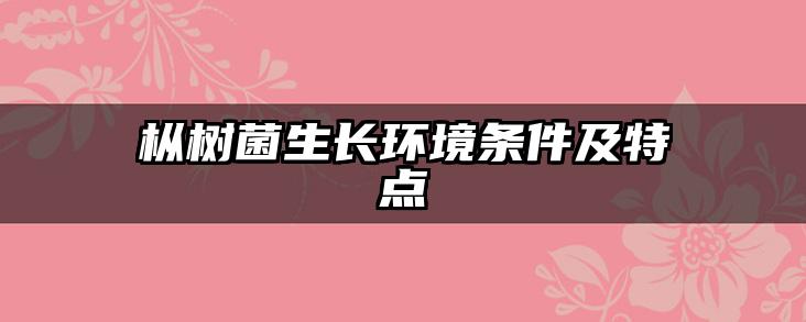 枞树菌生长环境条件及特点
