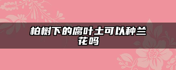 柏树下的腐叶土可以种兰花吗