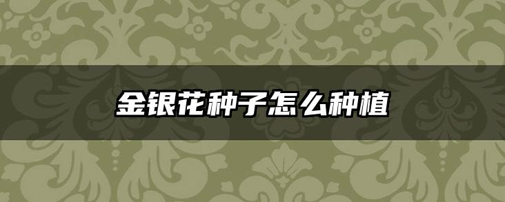 金银花种子怎么种植