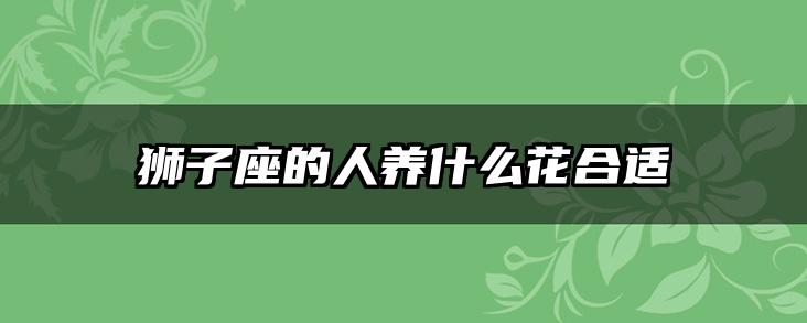 狮子座的人养什么花合适