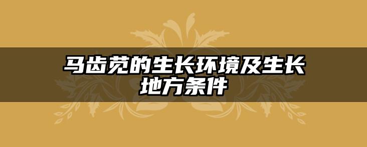 马齿苋的生长环境及生长地方条件