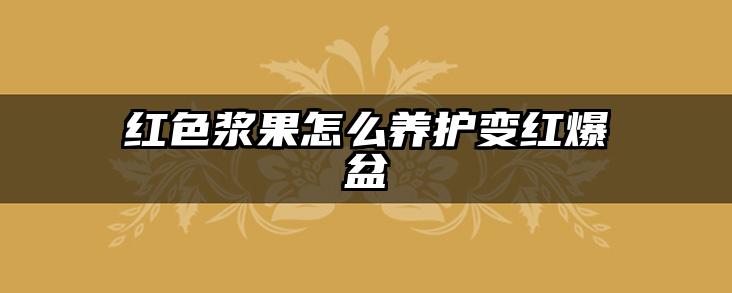 红色浆果怎么养护变红爆盆