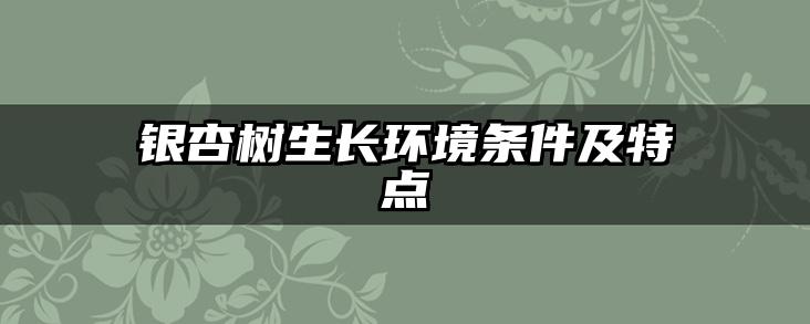 银杏树生长环境条件及特点