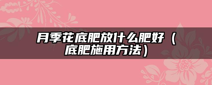 月季花底肥放什么肥好(底肥施用方法)