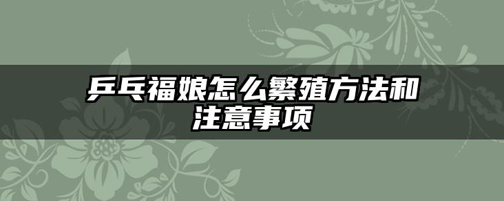 乒乓福娘怎么繁殖方法和注意事项