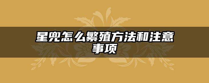 星兜怎么繁殖方法和注意事项