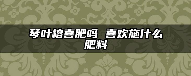 琴叶榕喜肥吗 喜欢施什么肥料