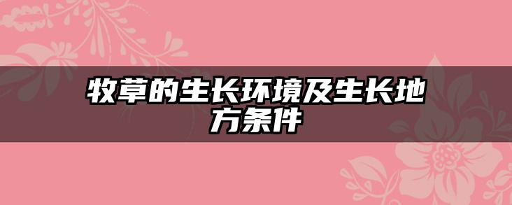 牧草的生长环境及生长地方条件