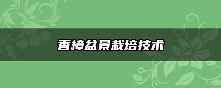 香樟盆景栽培技术