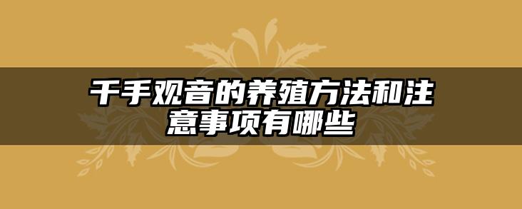 千手观音的养殖方法和注意事项有哪些