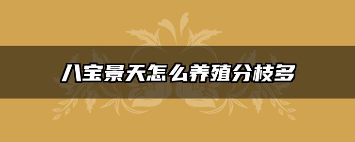 八宝景天怎么养殖分枝多