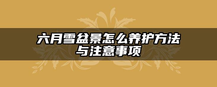 六月雪盆景怎么养护方法与注意事项
