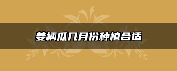 姜柄瓜几月份种植合适
