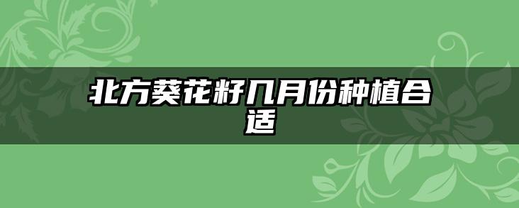 北方葵花籽几月份种植合适