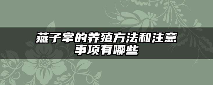 燕子掌的养殖方法和注意事项有哪些
