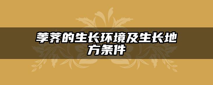 荸荠的生长环境及生长地方条件
