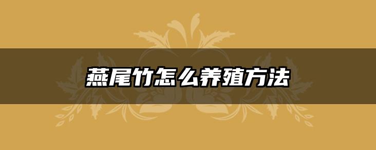 燕尾竹怎么养殖方法