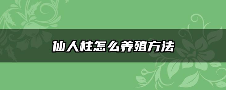 仙人柱怎么养殖方法