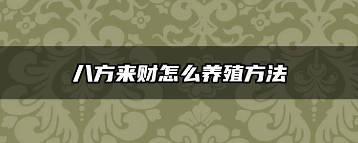 八方来财怎么养殖方法