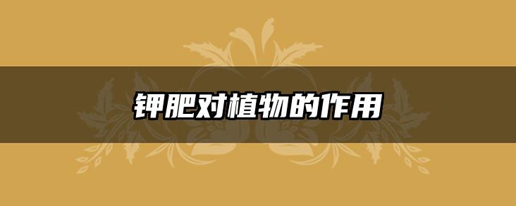 钾肥对植物的作用