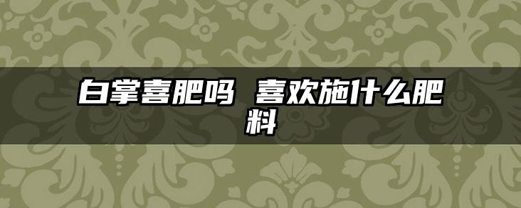 白掌喜肥吗 喜欢施什么肥料