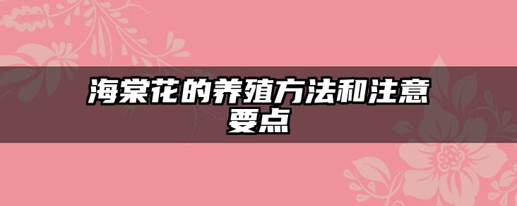 海棠花的养殖方法和注意要点